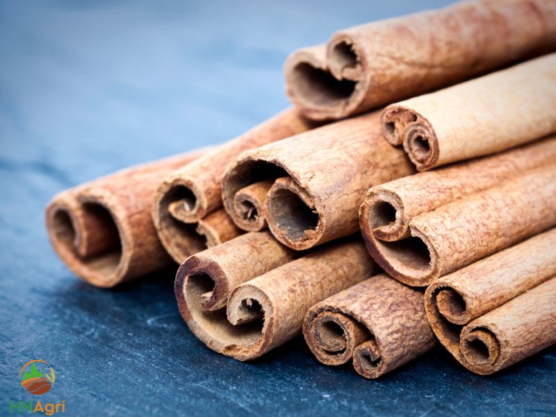 cinnamon-sticks-a-flavorful-addition-to-your-culinary-repertoire-1